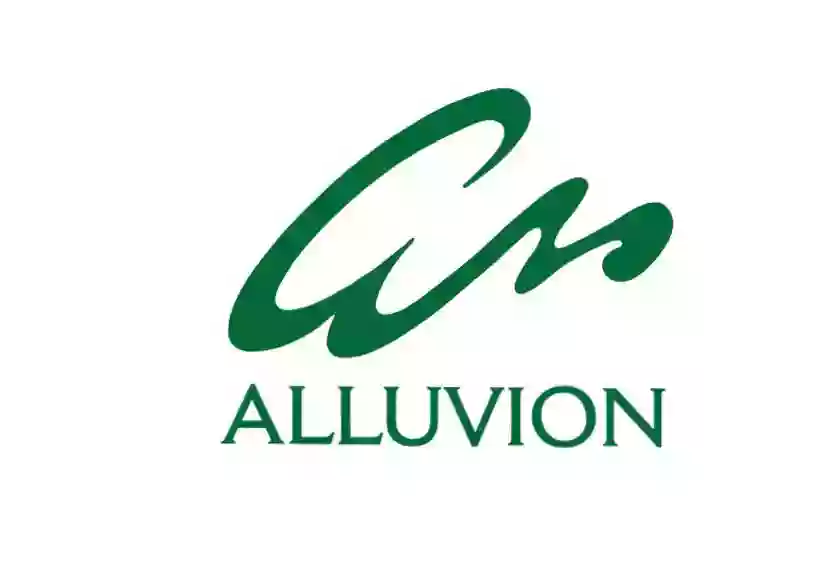 Alluvion Inc. Alluvion Inc.