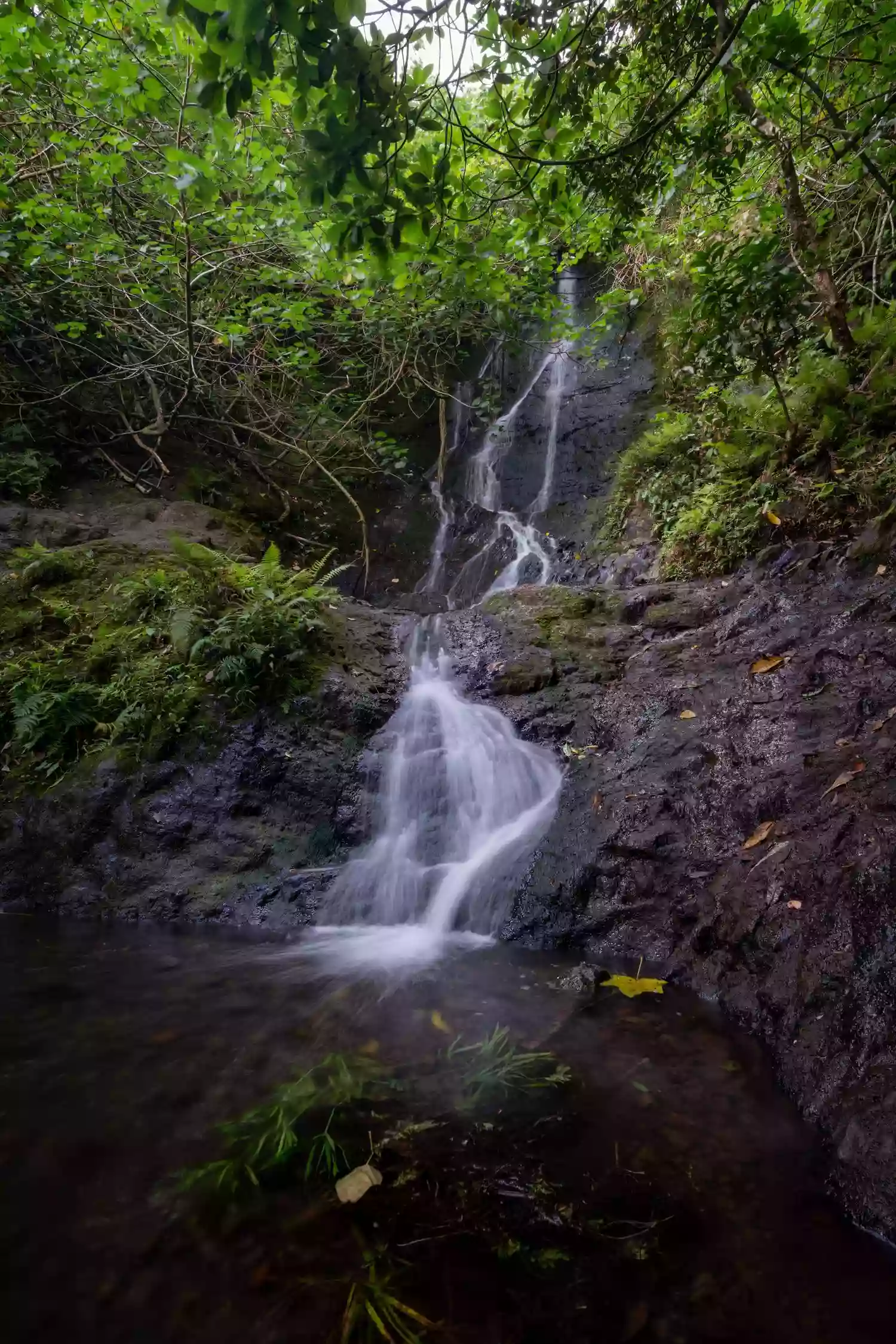 Likeke Falls Likeke Falls