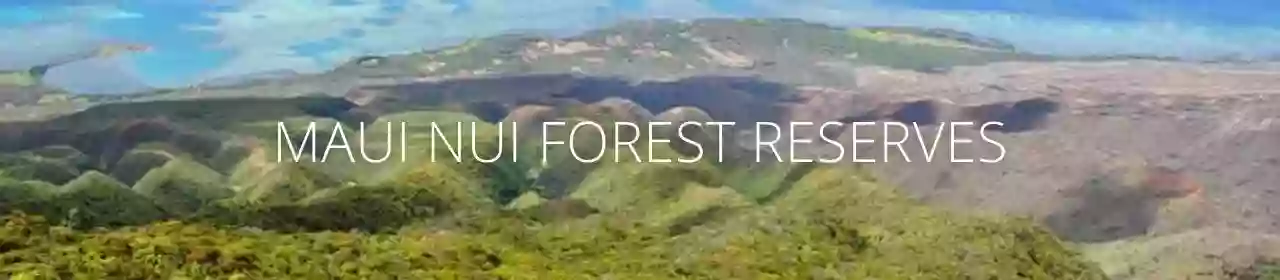 Hana Forest Reserve Hana Forest Reserve
