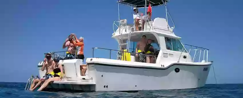 Wild Side Specialty Tours Wild Side Specialty Tours