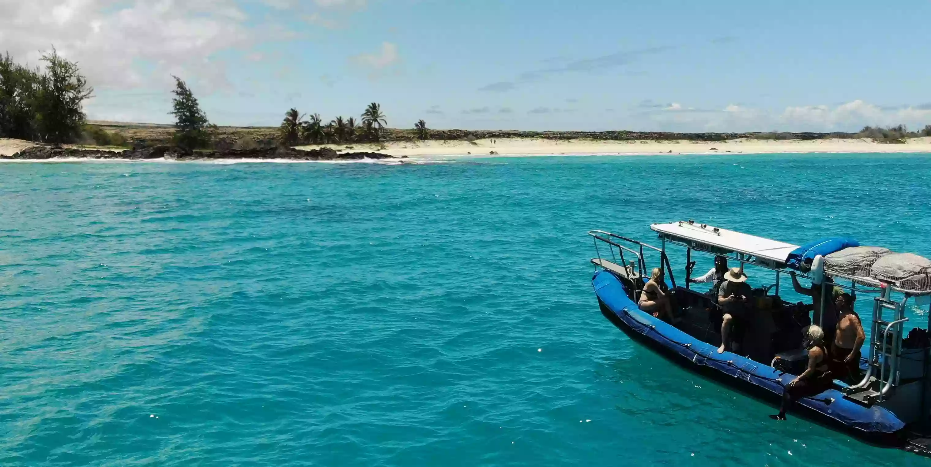 Ocean Eco Tours Ocean Eco Tours