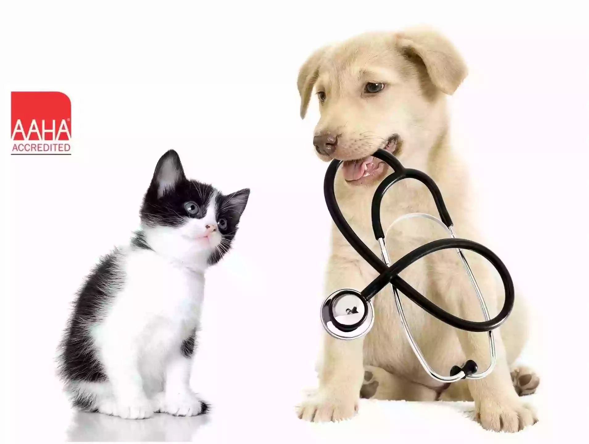 Pet Care Clinic-Kuna Pet Care Clinic-Kuna