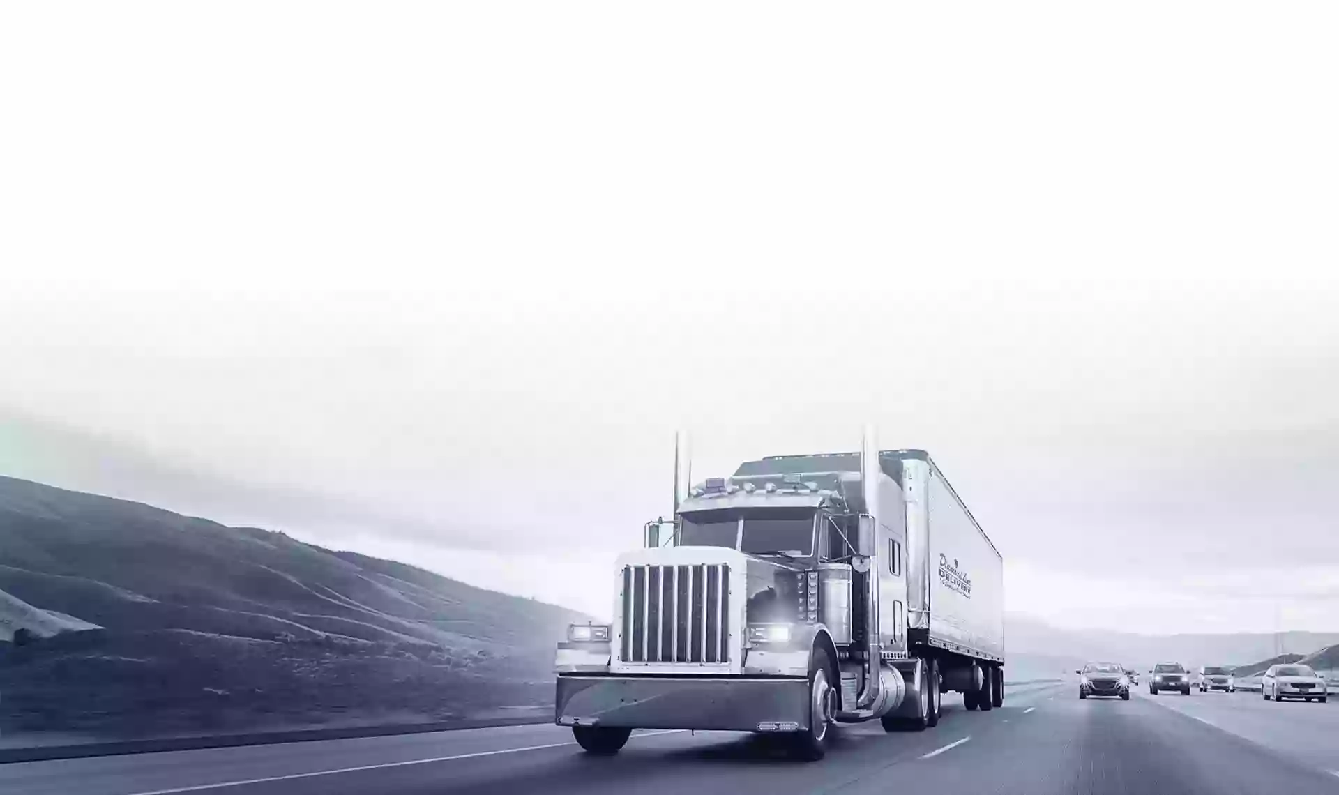Diamondline Delivery Systems, Inc. Diamondline Delivery Systems, Inc.