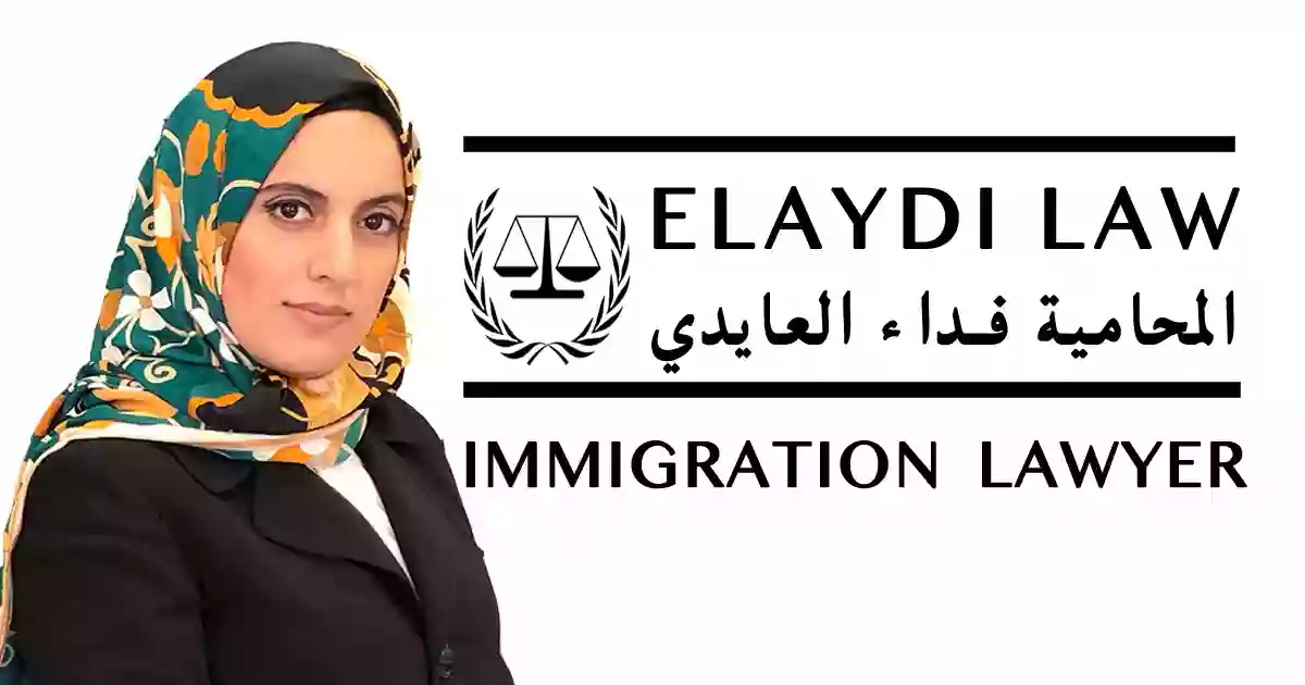Elaydi Law, LLC Elaydi Law, LLC