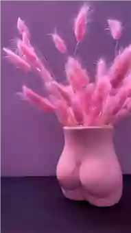 The Waxed Flamingo The Waxed Flamingo