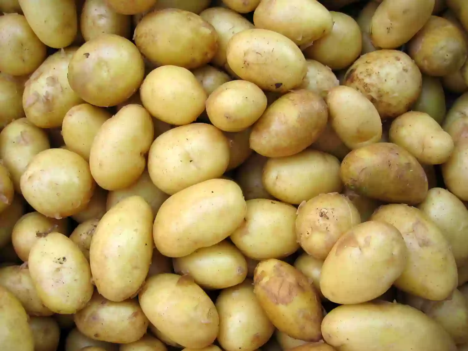 Mrs. Mike's Potato Chips Mrs. Mike's Potato Chips