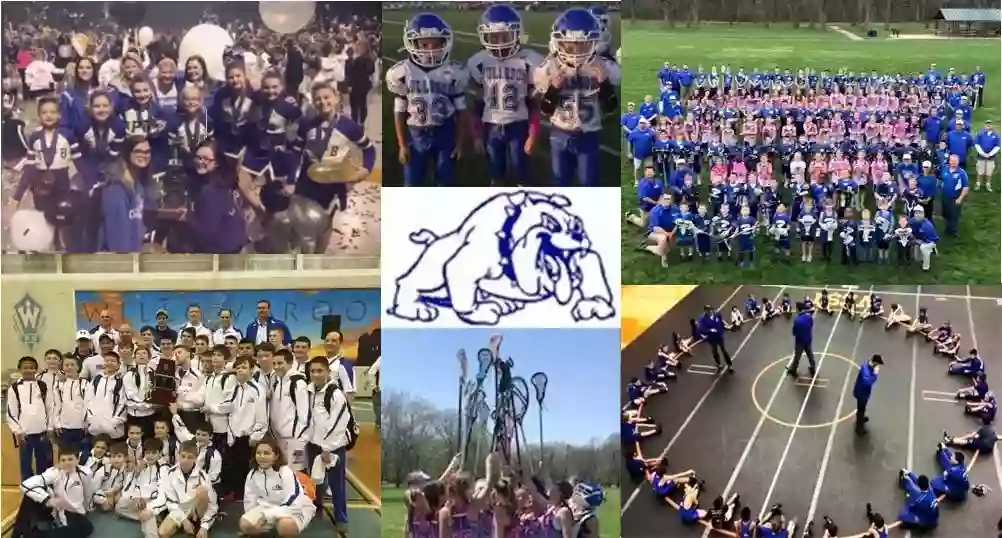 Tinley Park Bulldogs Tinley Park Bulldogs