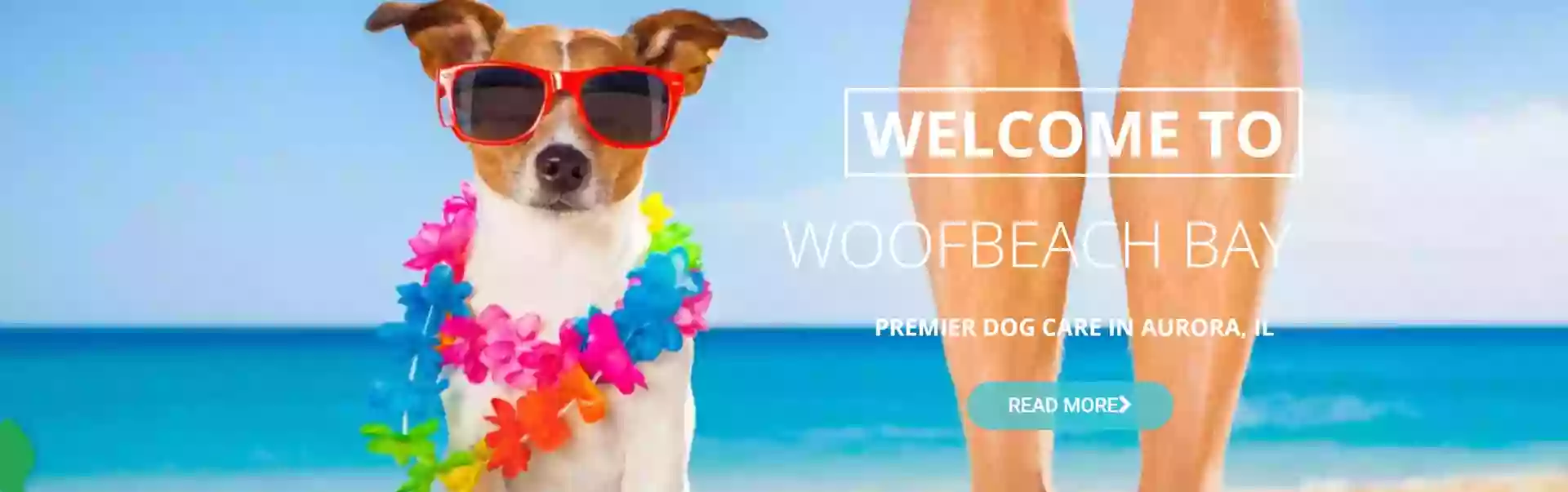 Woofbeach Bay Woofbeach Bay