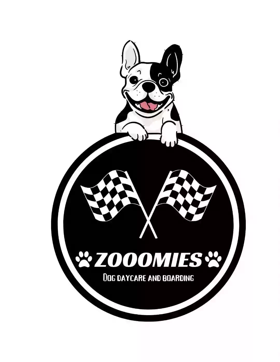 Zooomies Zooomies