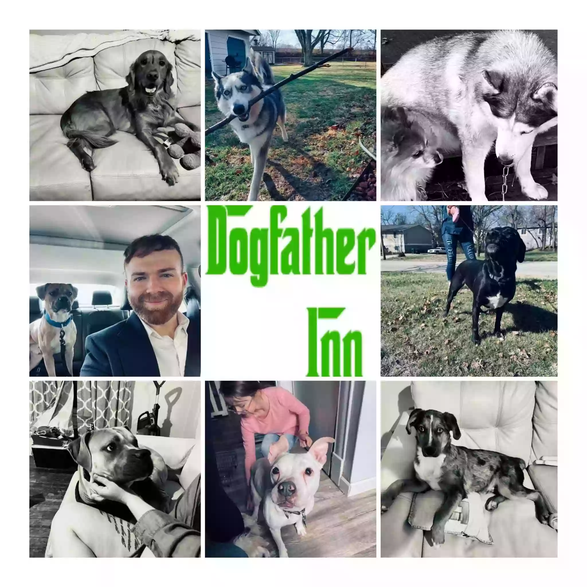 Dogfather Inn Dogfather Inn
