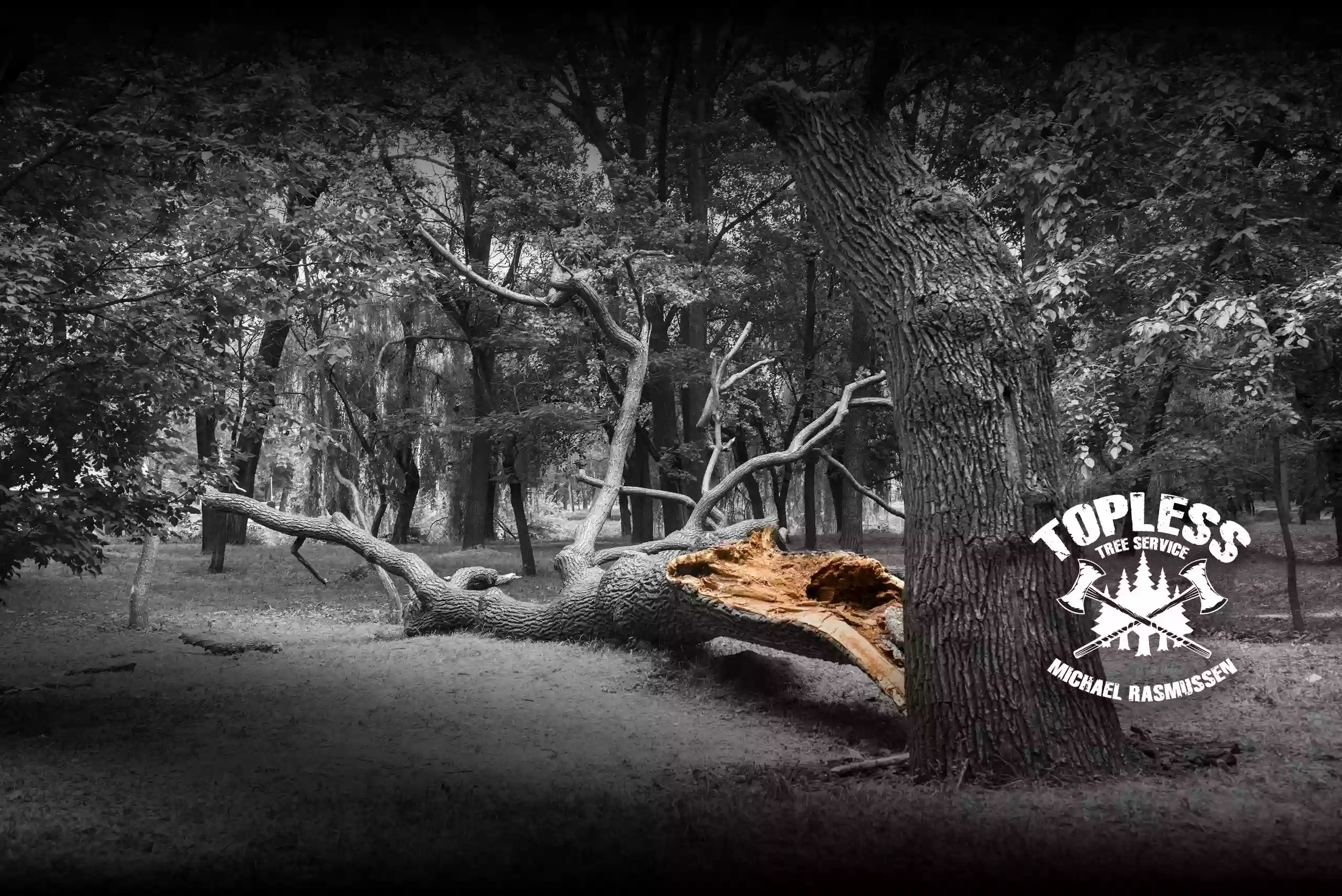 Topless Tree Service Topless Tree Service