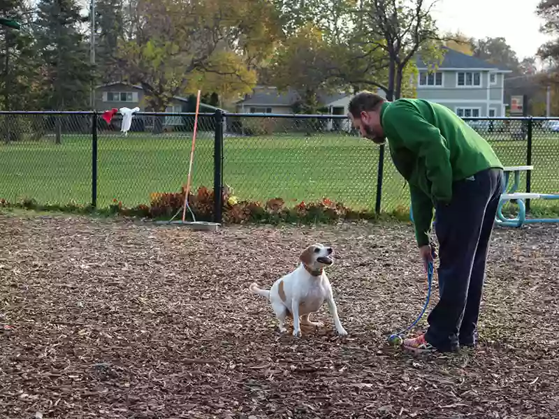 Paws Park Paws Park