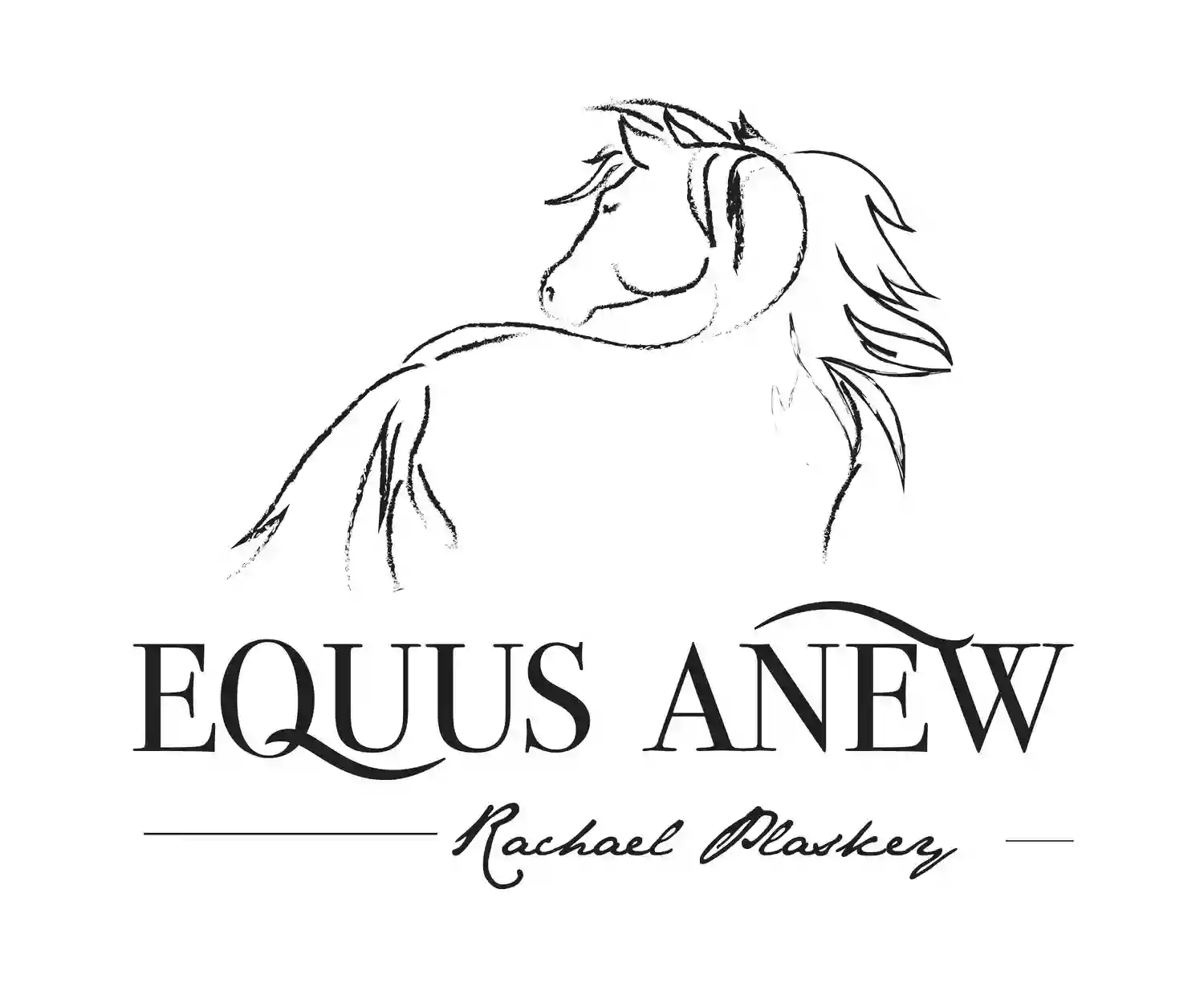 Equus Anew Equus Anew