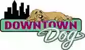 Downtown Dog Downtown Dog