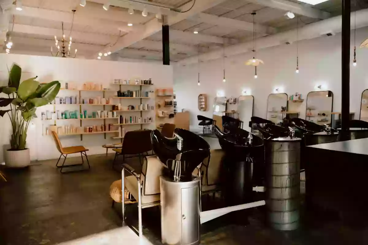 dsm salon dsm salon