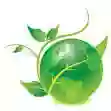 Eco-Cleaning Services Eco-Cleaning Services