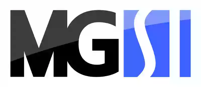 MGSI, Ltd. MGSI, Ltd.