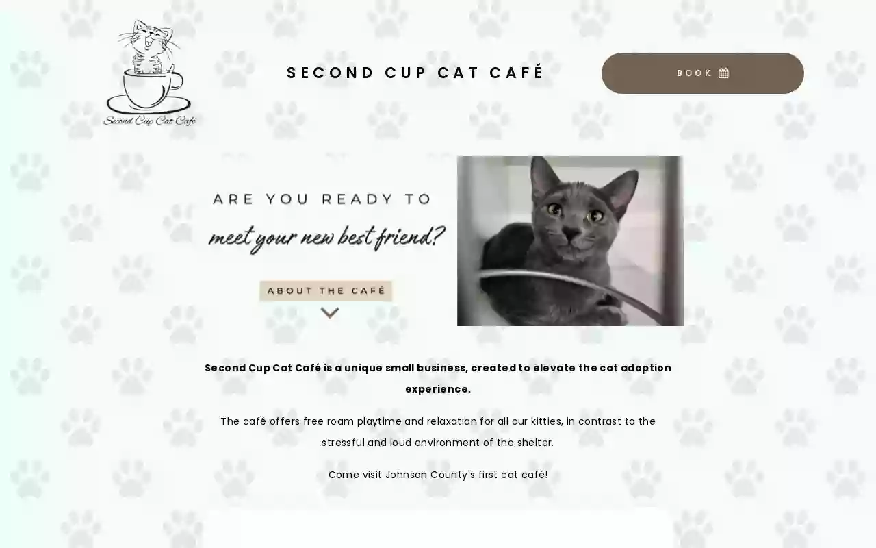 Second Cup Cat Cafe Second Cup Cat Cafe