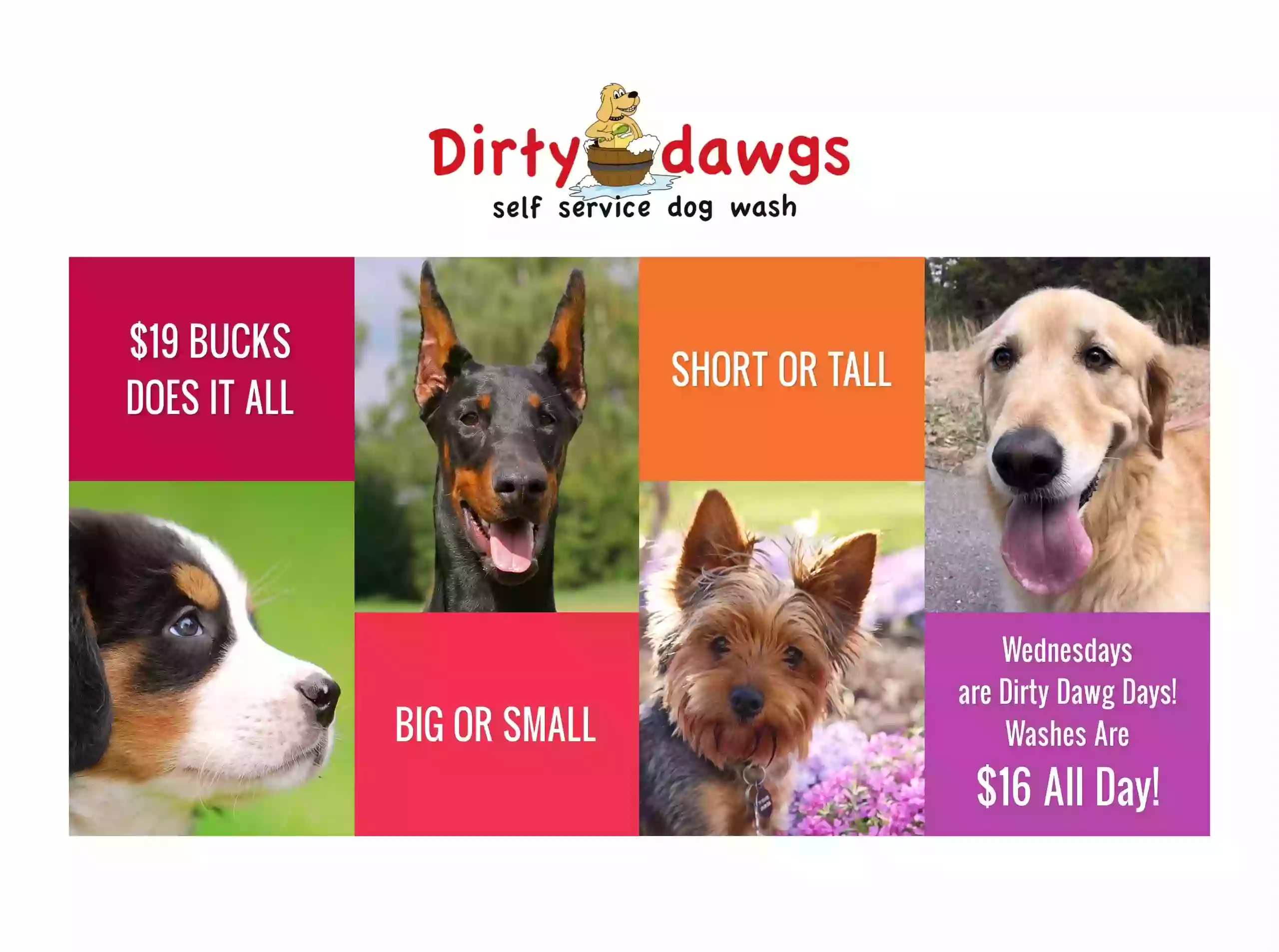 Dirty Dawgs Dirty Dawgs