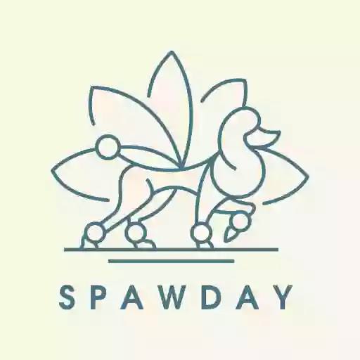 Spaw Day Grooming Spaw Day Grooming