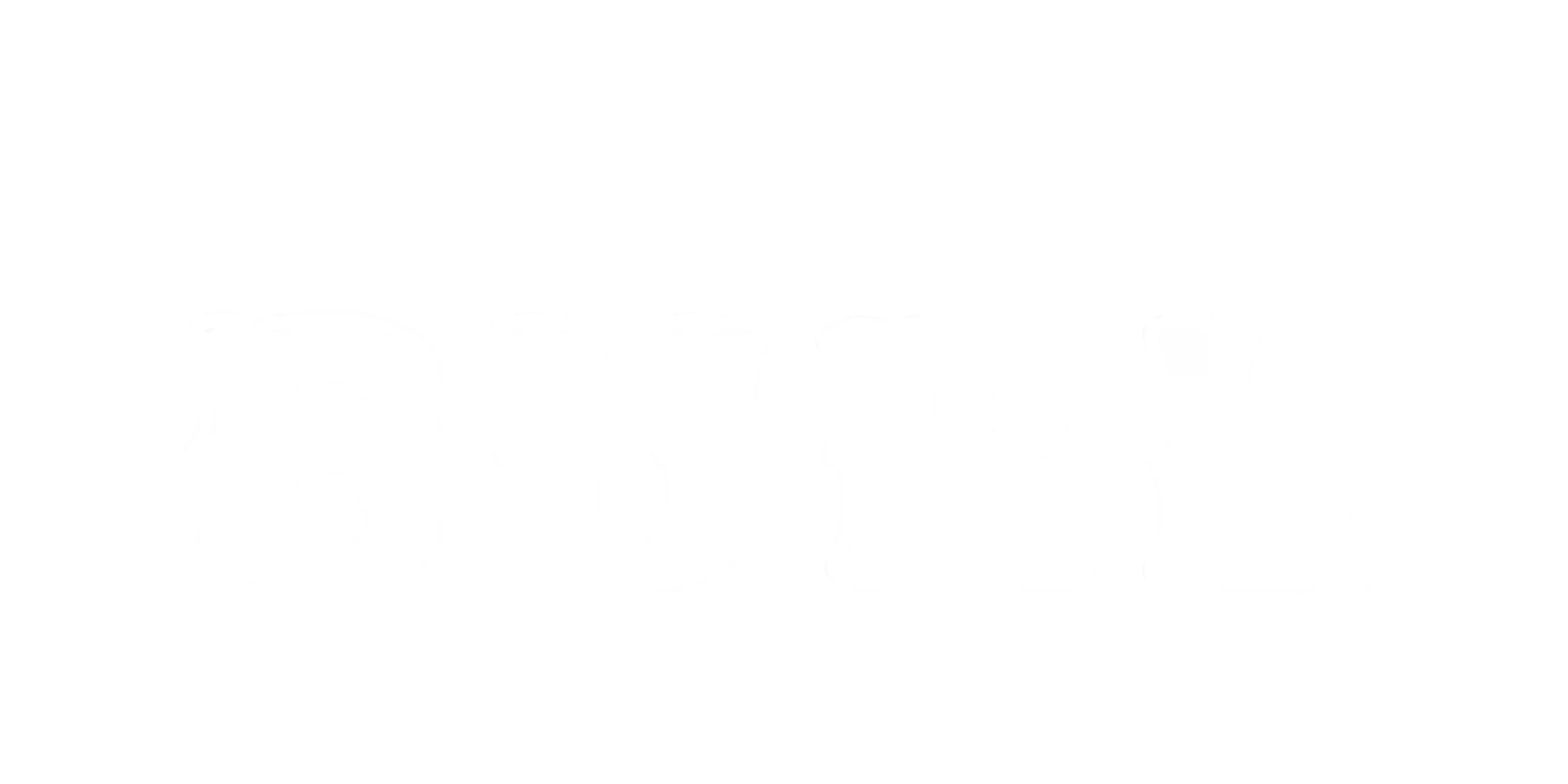 The Burl The Burl