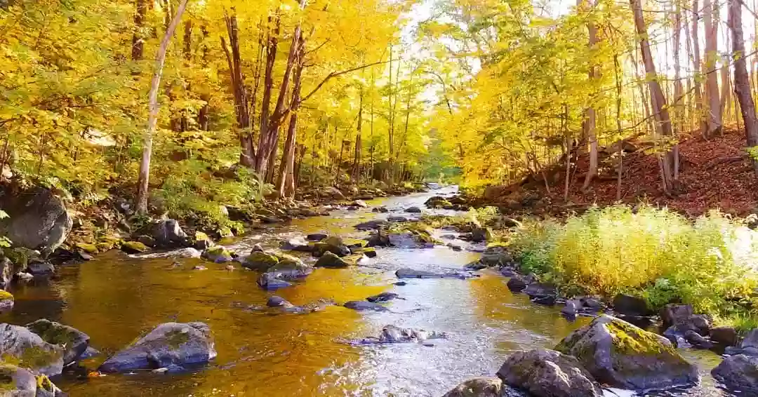 Martin Stream Campground Martin Stream Campground