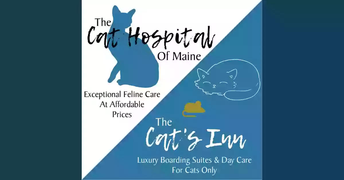 The Cat Hospital The Cat Hospital