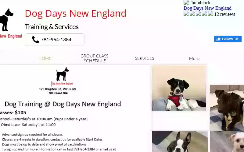 Dog Days New England Dog Days New England