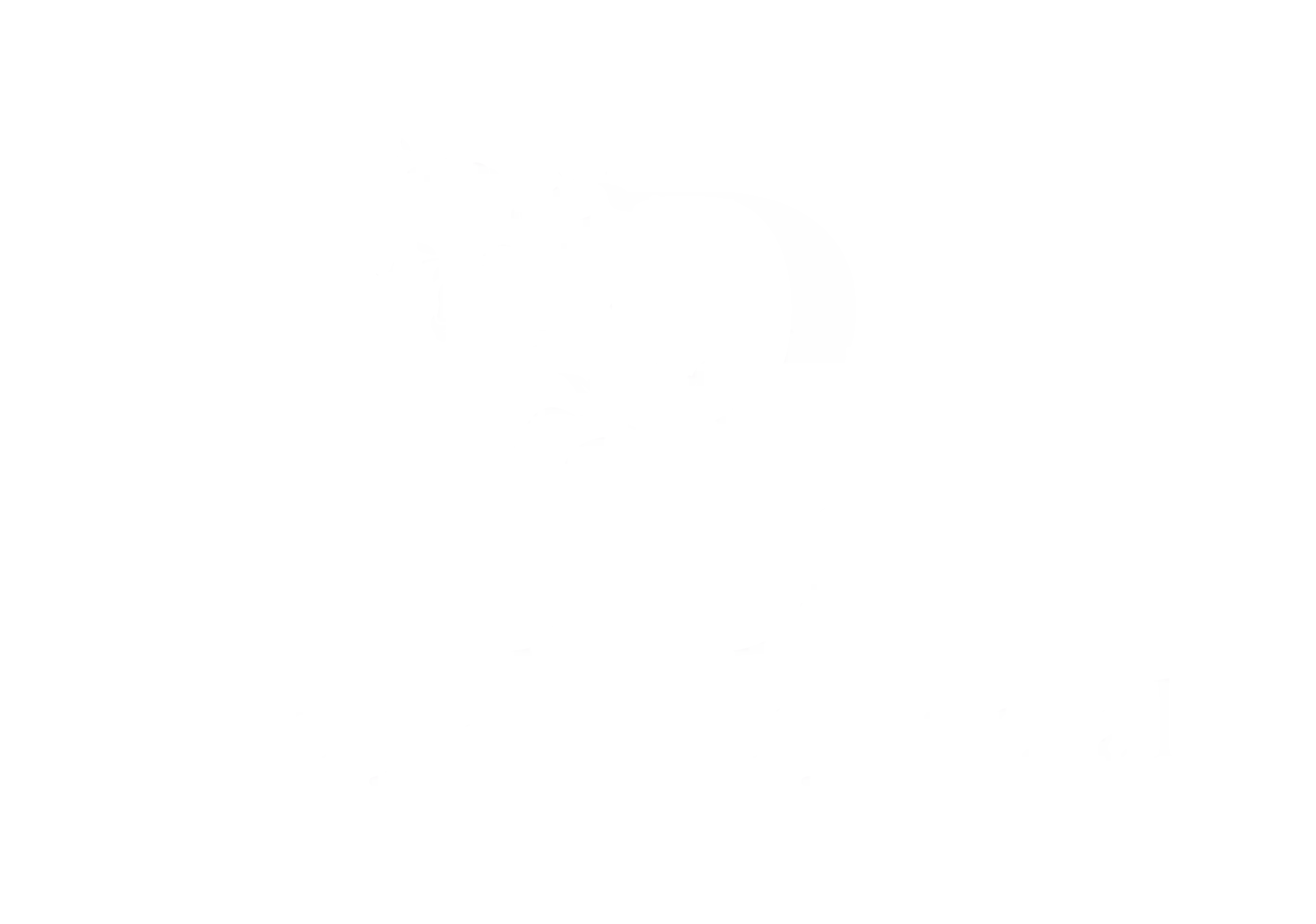 Berry & Berry Floral Berry & Berry Floral