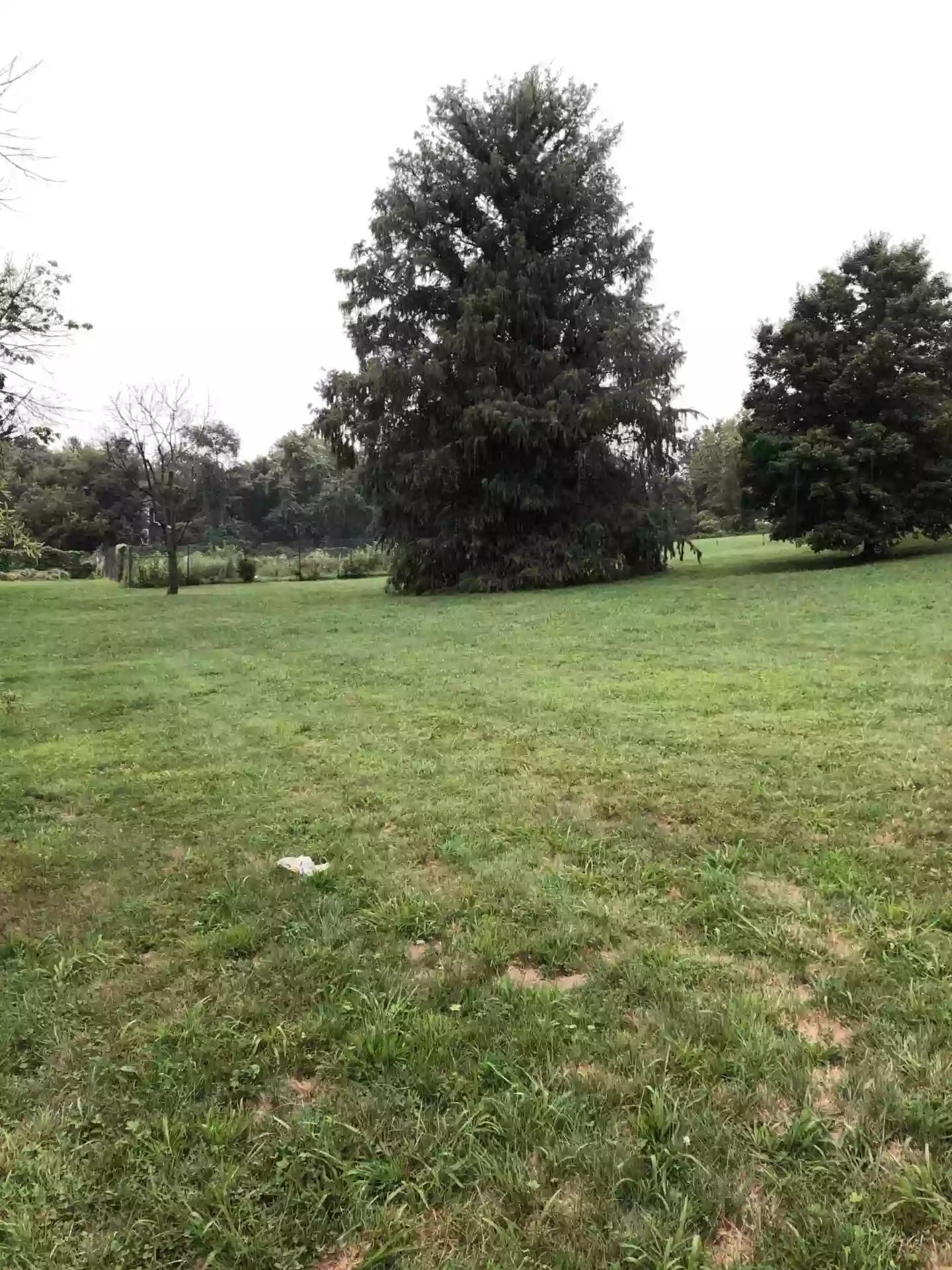 Dewees Park Dewees Park