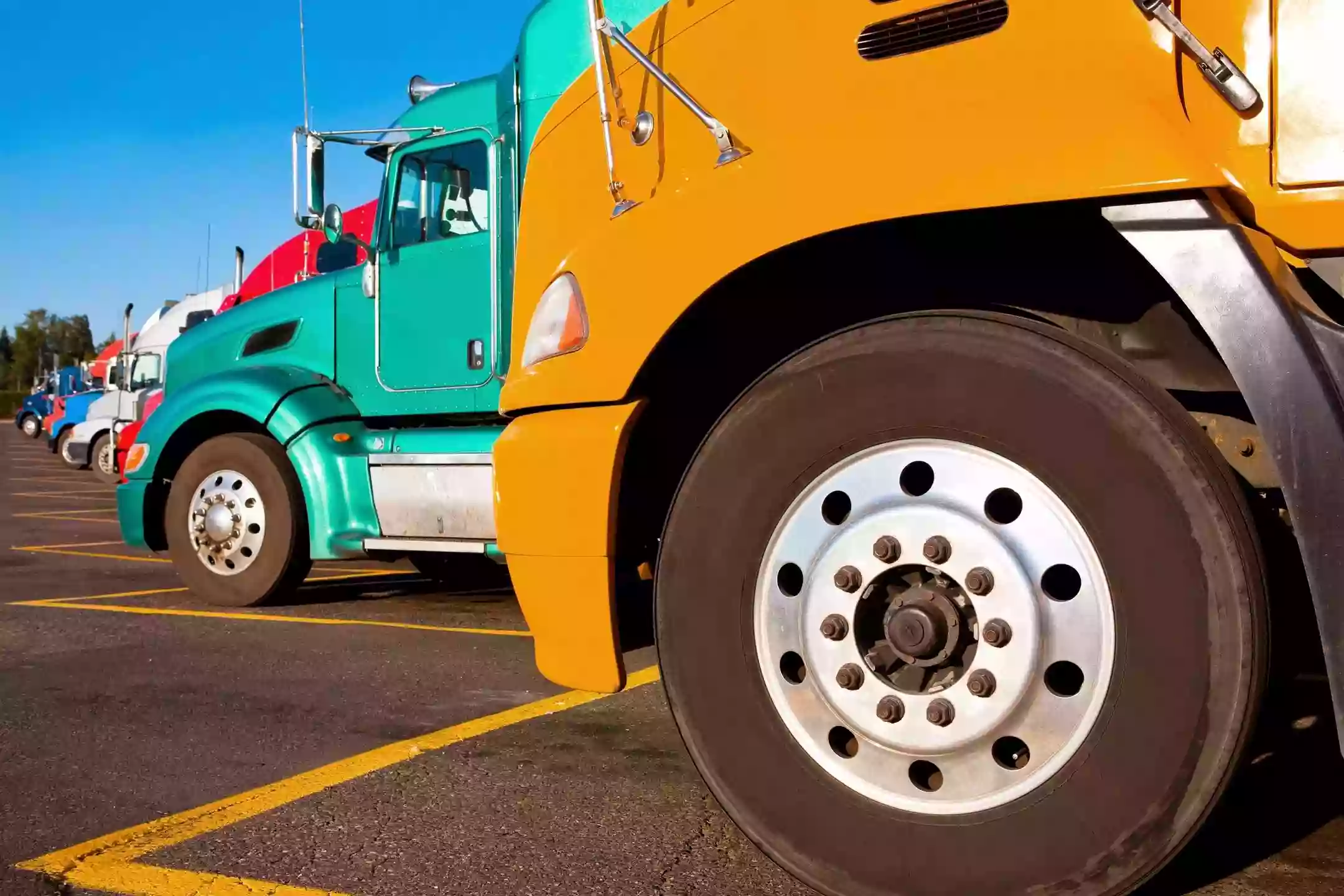 TNT Logistics, LLC.