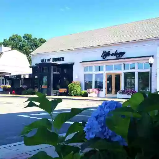 The Longmeadow Shops The Longmeadow Shops