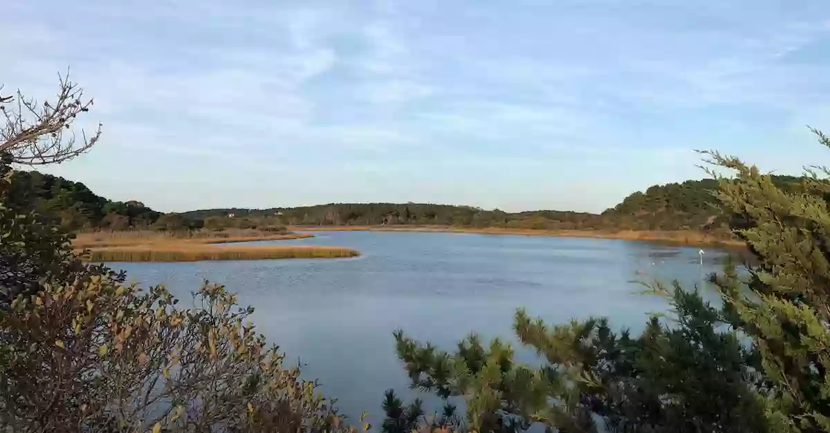 Colony of Wellfleet Colony of Wellfleet