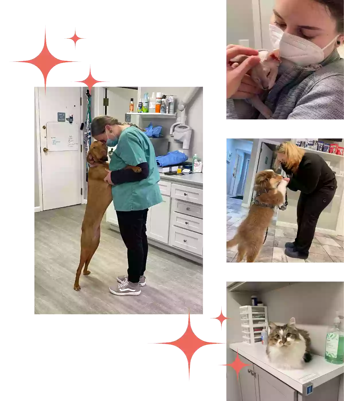 Apple Country Animal Hospital Apple Country Animal Hospital