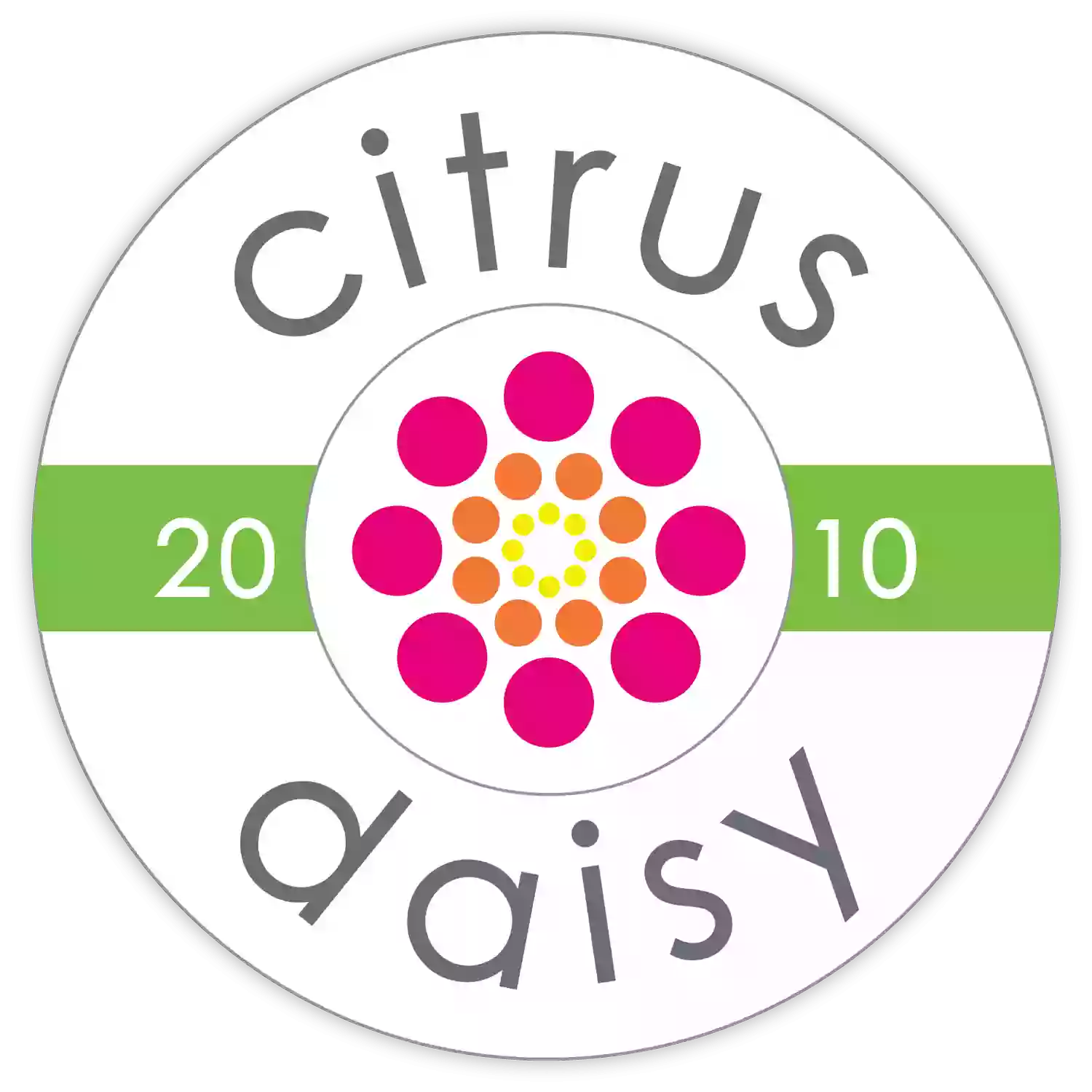 Citrus Daisy Citrus Daisy