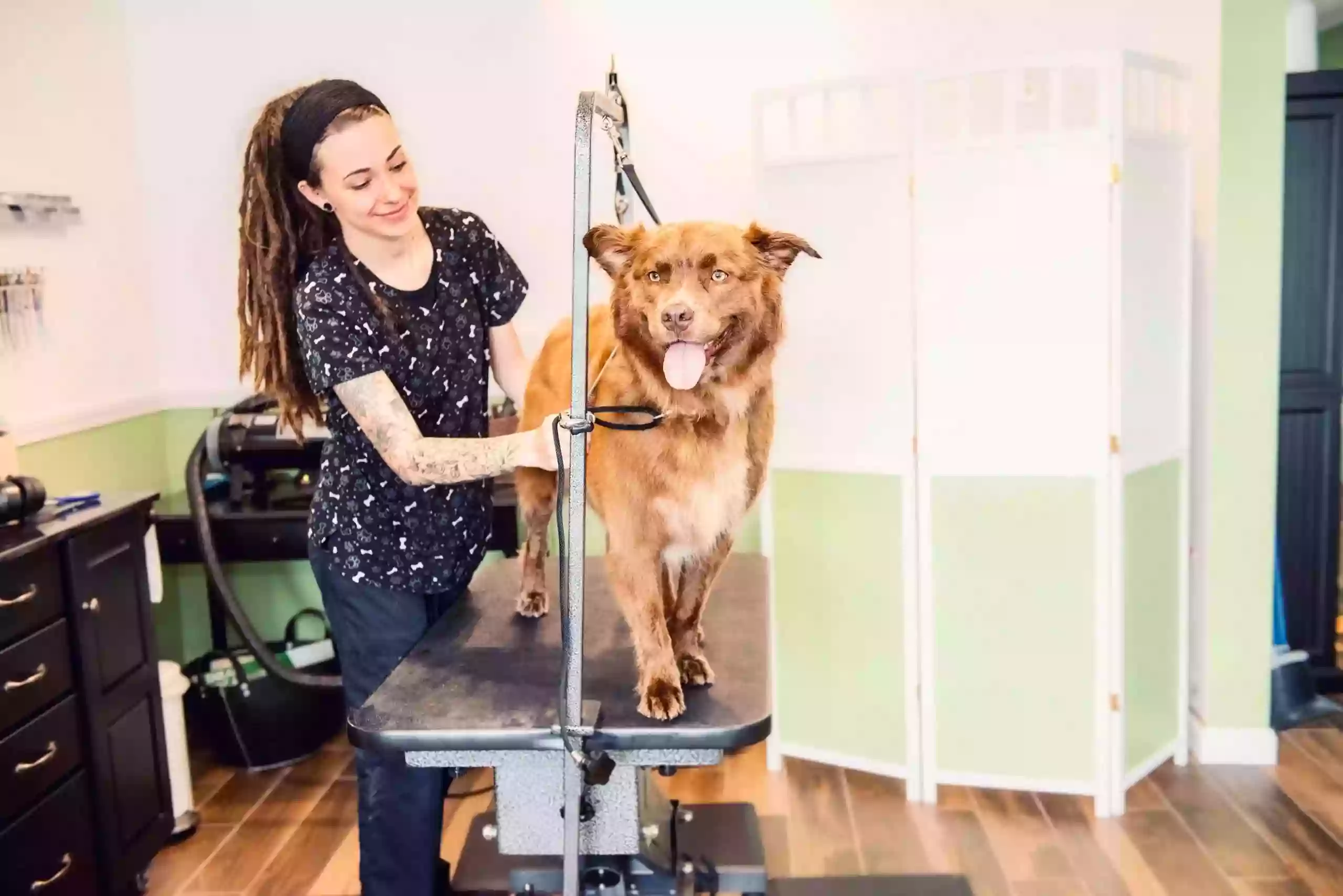 Wag Dog Spa Wag Dog Spa
