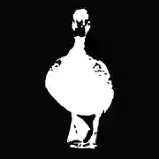 The Wild Duck The Wild Duck