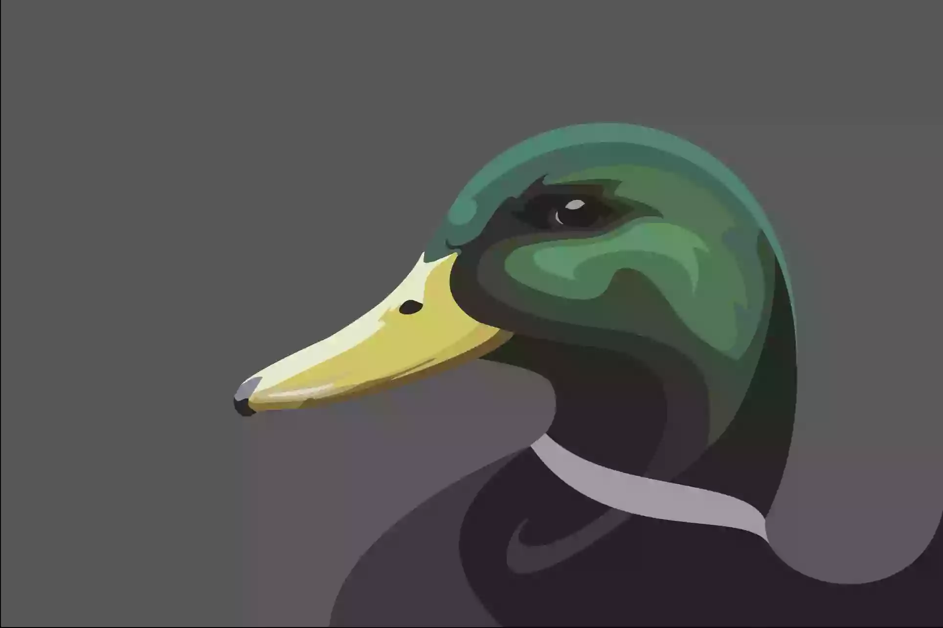 The Mallard The Mallard