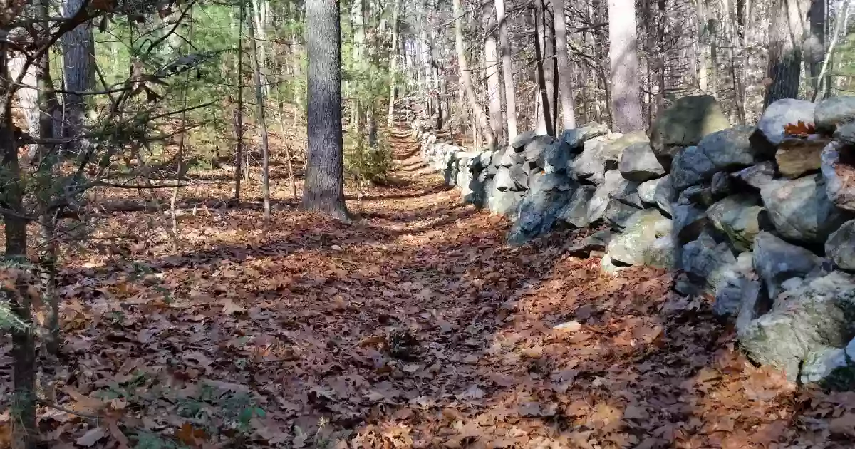 Hamlen Woods Hamlen Woods