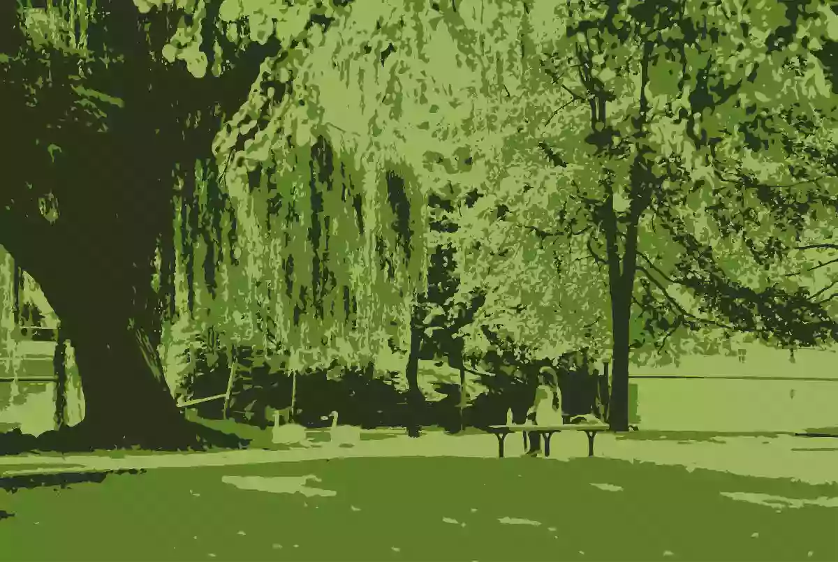 Crite Park Crite Park