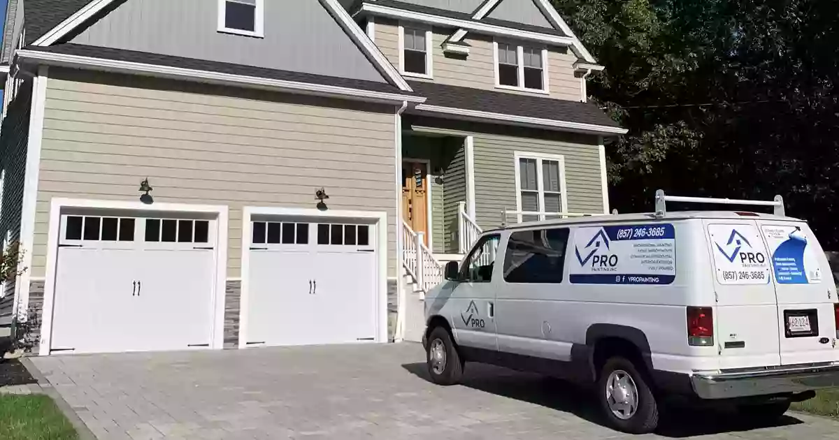 VPro Painting VPro Painting