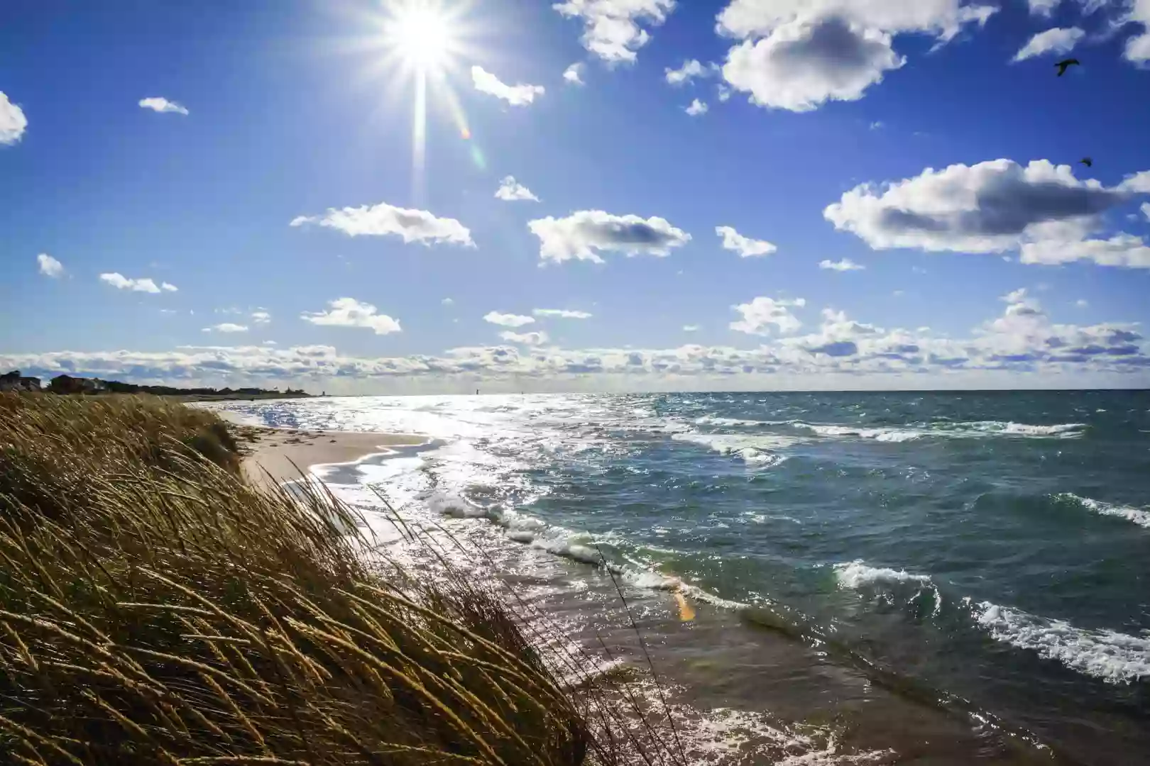 Unsalted Vacations Unsalted Vacations