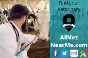 Country Veterinary Clinic Country Veterinary Clinic