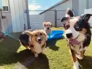 Countryside Kennels Pet Resort & Spa Countryside Kennels Pet Resort & Spa