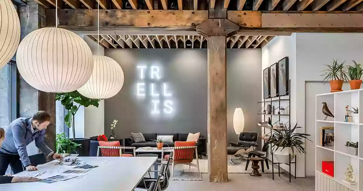 Trellis Trellis