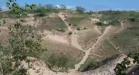 Dunes Trail Dunes Trail