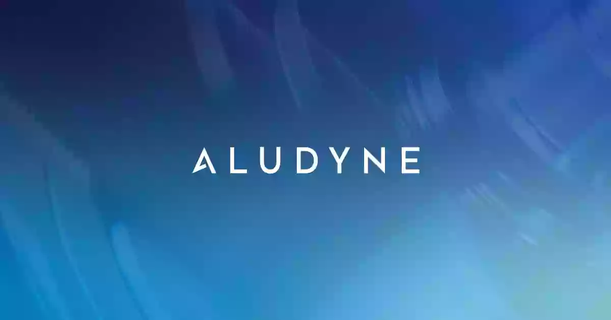 Aludyne Aludyne