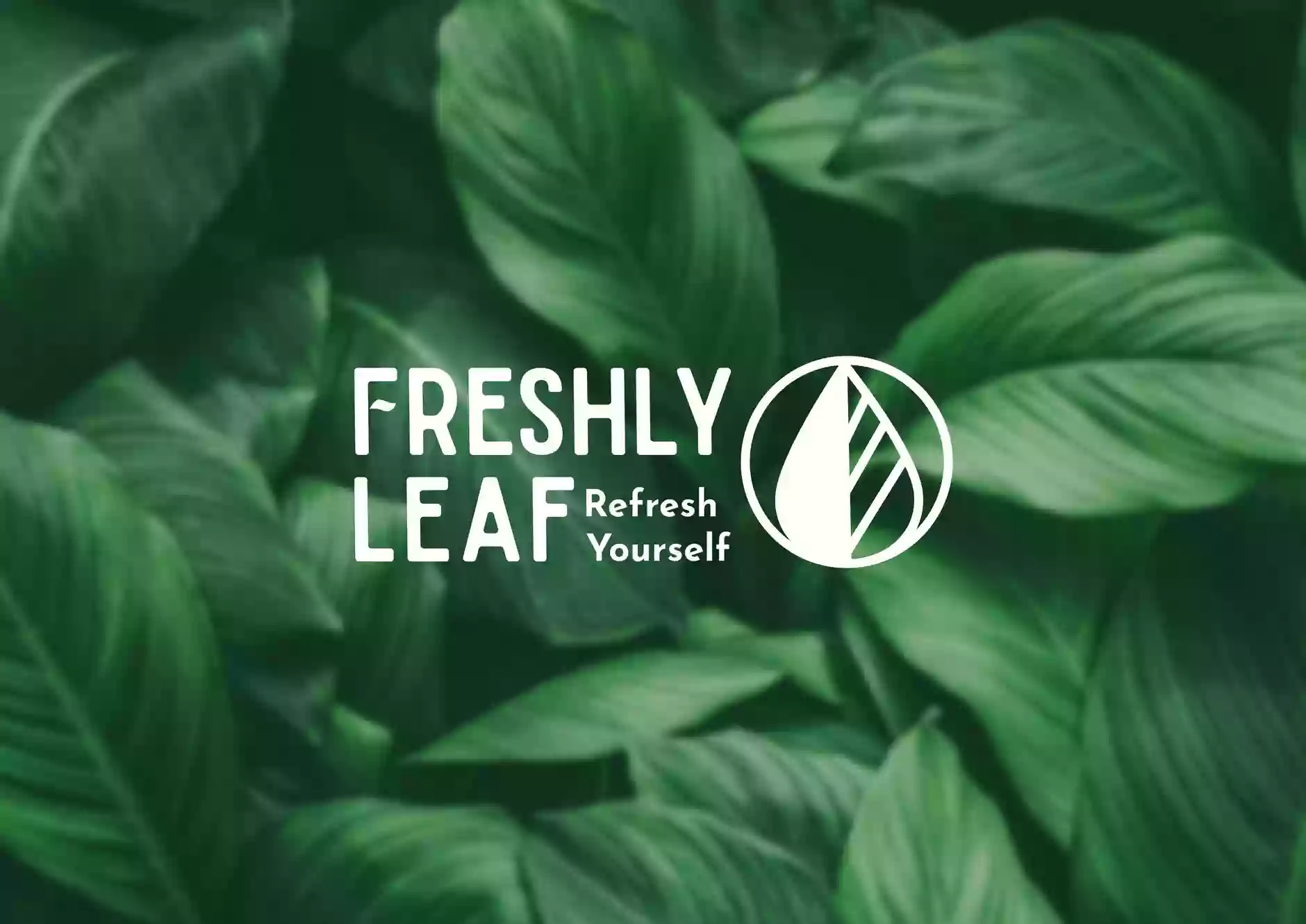 Freshly Leaf - Blaine Freshly Leaf - Blaine