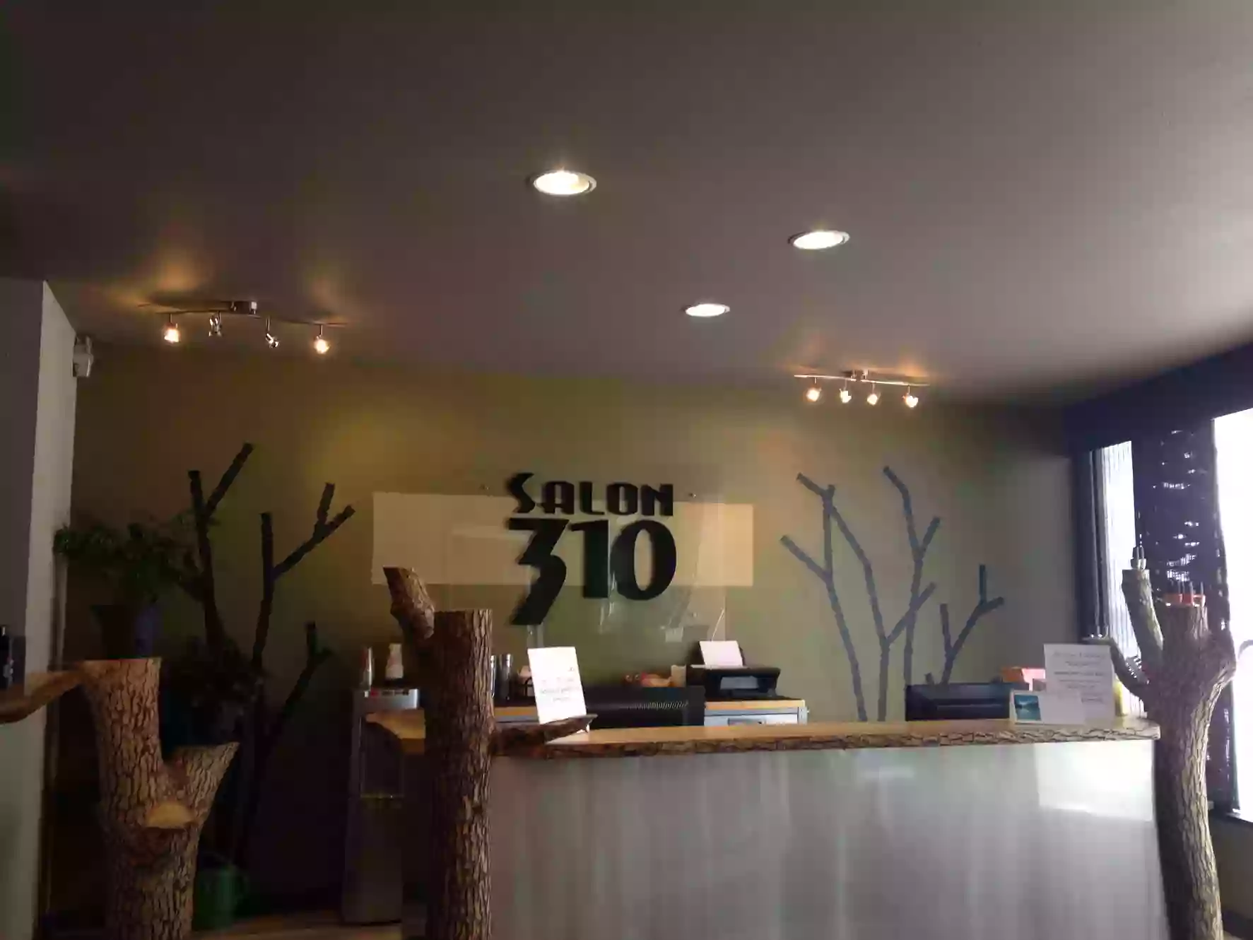 Salon 310