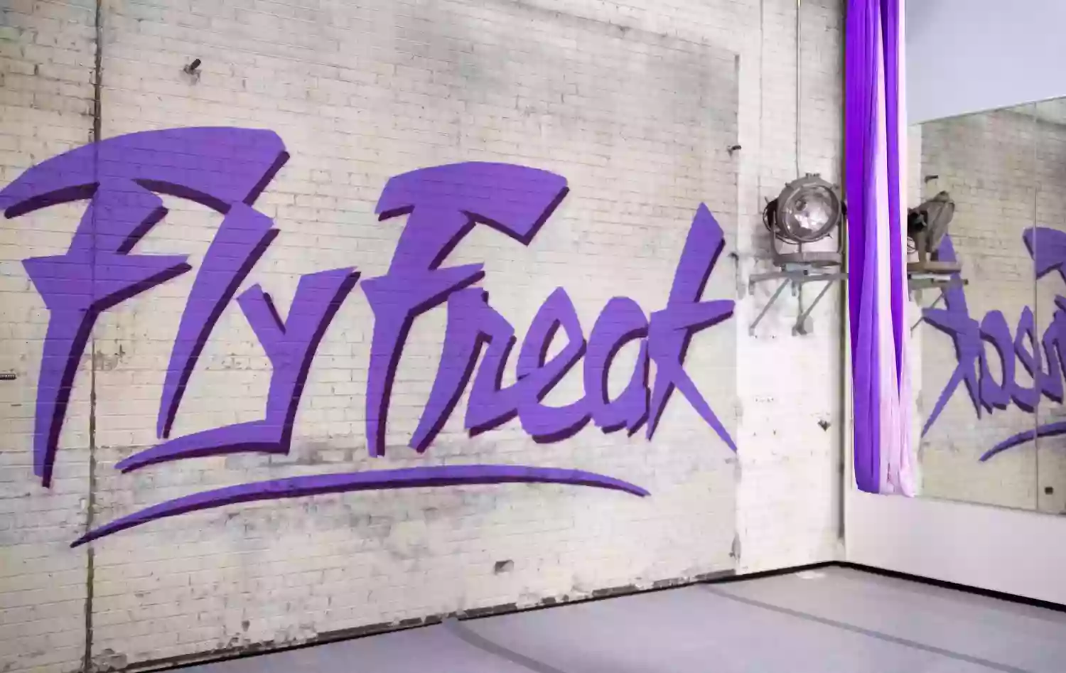 Fly Freak Studio Fly Freak Studio